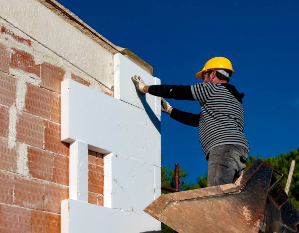 Best DIY Insulation Kits and Guidance in Baraga, MI