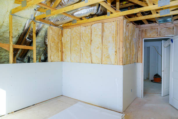 Best Specialized Insulation Services in Baraga, MI
