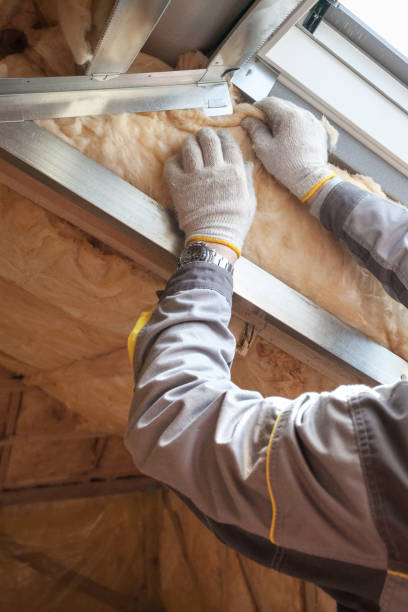 Best Commercial Insulation in Baraga, MI