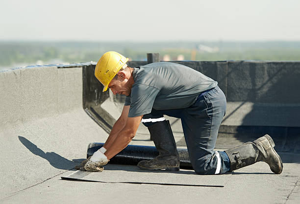 Best Geographic-Specific Insulation Services in Baraga, MI